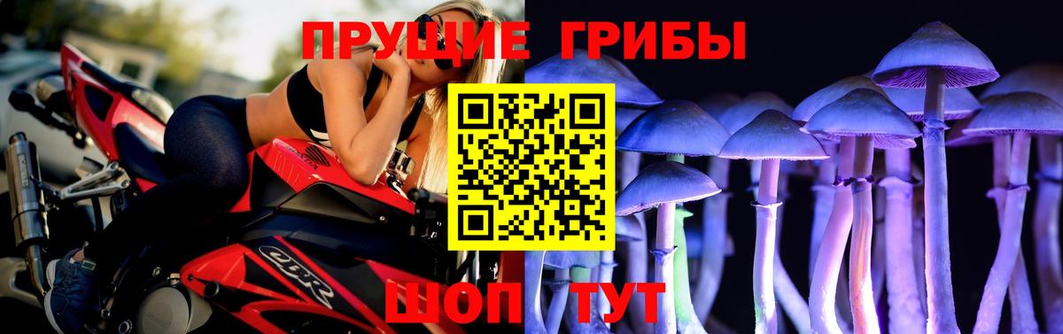 Псилоцибиновые грибы GOLDEN TEACHER  Вход с VPN  Стрежевой 